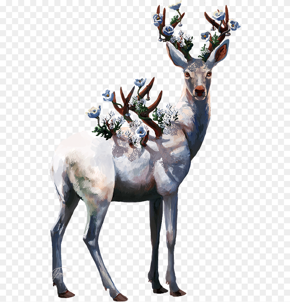 Drawing Antlers Deer Antler Deer Oil Paint, Animal, Wildlife, Mammal, Flower Bouquet Free Transparent Png