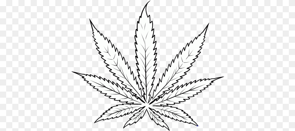 Drawing Art Drugs Weed Smoke Pot Illegal Oh Well Transparent Weed Plant Drawing, Leaf, Animal, Bird Png Image
