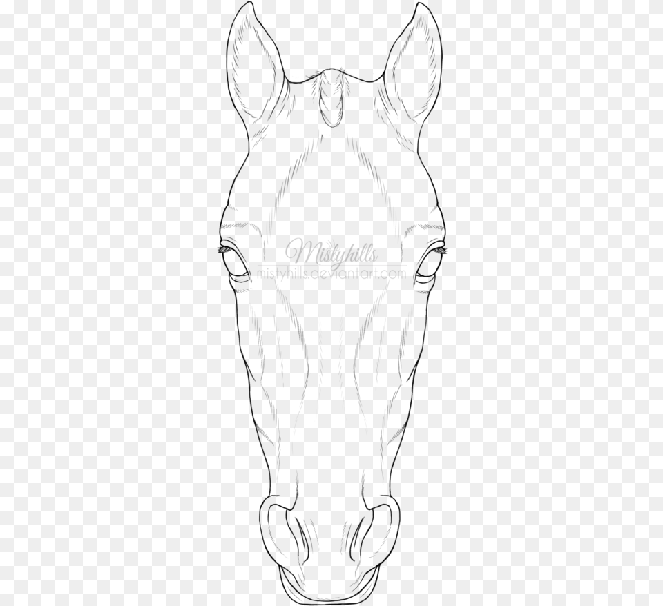 Drawing Barns Face Front Horse Head Lineart, Logo, Book, Publication Free Transparent Png