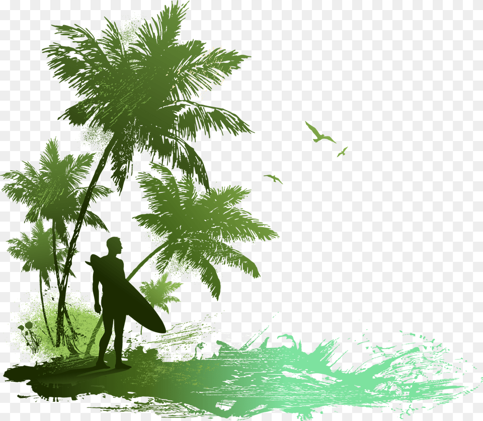 Drawing Beach Seaside Tropical Surfer Shower Curtain, Plant, Summer, Palm Tree, Outdoors Png Image