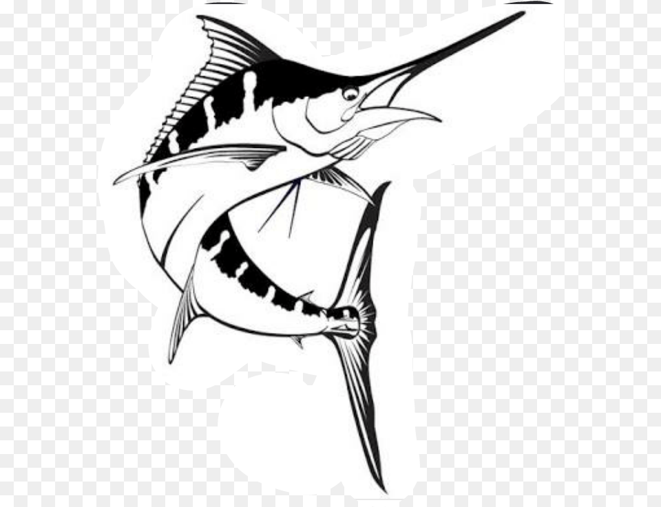 Drawing Billfish Marlin Fishing Marlin Fish Drawing, Animal, Sea Life, Shark, Stencil Free Png Download