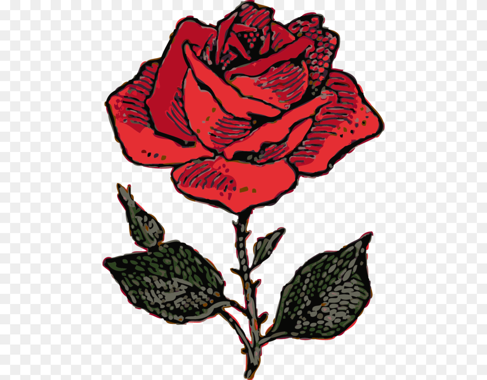 Drawing Black Rose Download Computer Icons Damask Rose Free, Flower, Petal, Plant, Pattern Png Image