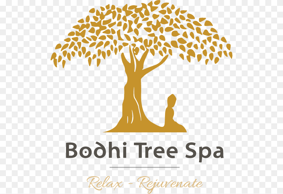 Drawing Buddha Tree Bodhi Tree Drawing Easy, Plant, Advertisement, Poster, Person Png