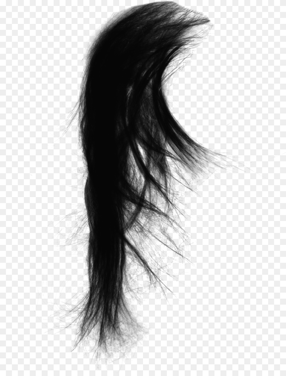 Drawing Capelli Black Hair, Gray Png