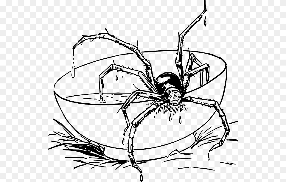 Drawing Cartoon Spider Web Dot Draw Com Fun Scary Spider Coloring Page, Animal, Invertebrate, Garden Spider, Insect Free Transparent Png