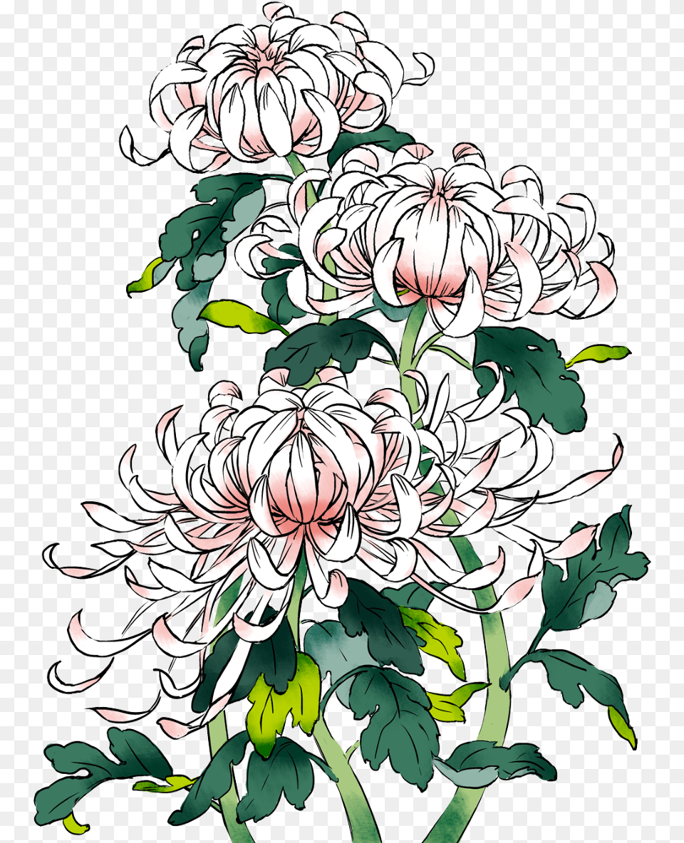 Drawing Chinese Flower, Art, Pattern, Graphics, Floral Design Free Transparent Png
