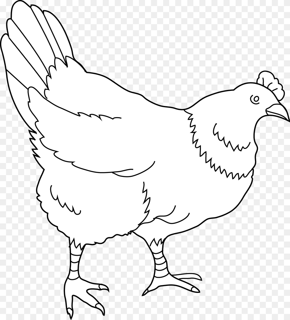 Drawing Clipart Hen 8 Hens Black And White Clipart, Animal, Fowl, Chicken, Bird Free Png