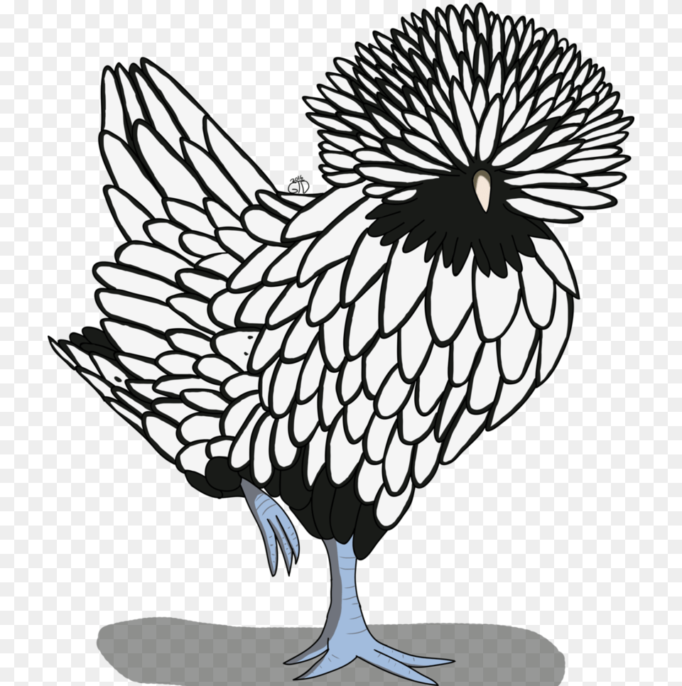 Drawing Clipart Hen Polish Chicken Drawing, Stencil, Plant, Animal, Bird Free Transparent Png