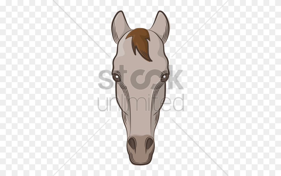 Drawing Clipart Horse Drawing Sorrel, Snout, Animal, Mammal, Colt Horse Free Png