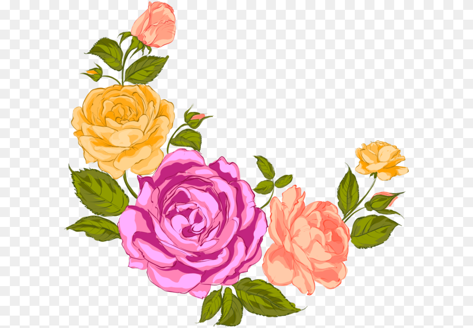 Drawing Compositions Flower Vector Library Rose, Pattern, Plant, Art, Floral Design Free Transparent Png