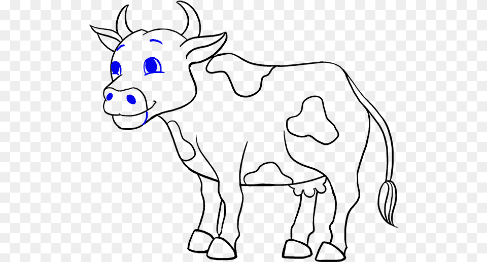 Drawing Cow Sketch For On Mbtskoudsalg Drawing Picture Of Cow Free Png Download