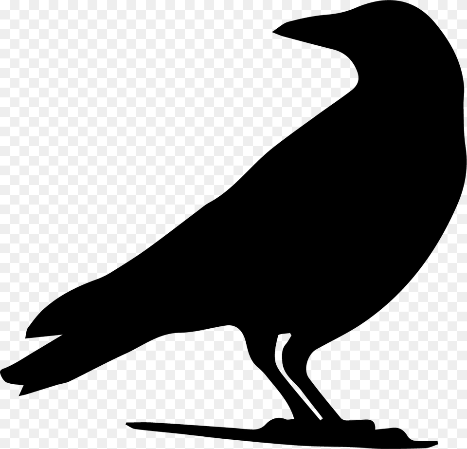 Drawing Crow Silhouette Clip Art Crow Silhouette, Animal, Fish, Sea Life, Shark Free Png Download