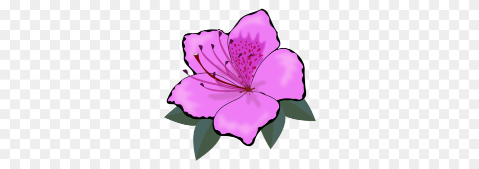 Drawing Death Dead Flowers Art, Anther, Flower, Plant, Petal Png