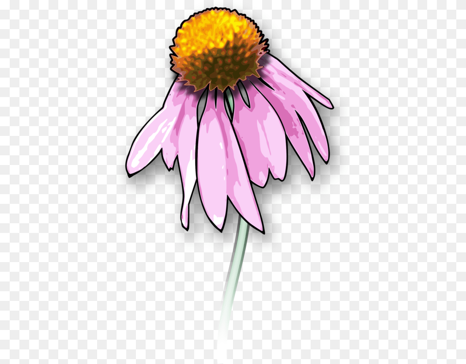 Drawing Death Dead Flowers Art, Anther, Daisy, Flower, Petal Free Png Download