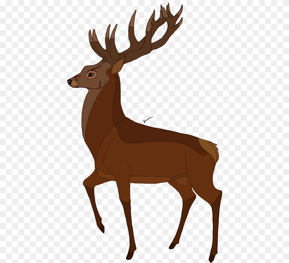 Drawing Deer Bambi Huge Freebie For Powerpoint Bambi White Tailed Deer, Animal, Elk, Mammal, Wildlife Png