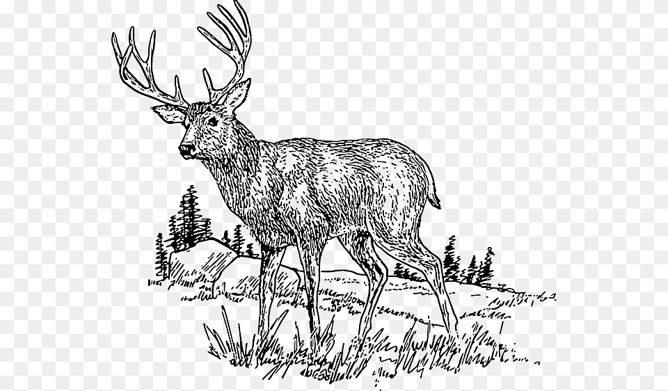 Drawing Deer Field Grass Wild Trees Animal Hills Camo Dave39s Original Venison Deer Jerky, Elk, Mammal, Wildlife, Antelope Png Image