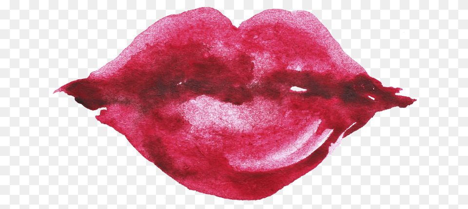 Drawing Details Lip Watercolor Paint, Body Part, Flower, Mouth, Person Free Png