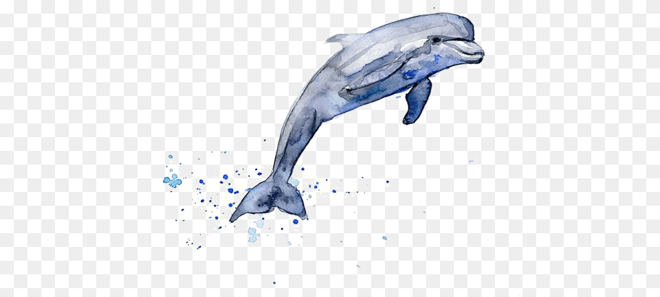 Drawing Dolphin Watercolor Painting Clip Art Dolphin Drawing Color, Animal, Mammal, Sea Life, Fish Free Png