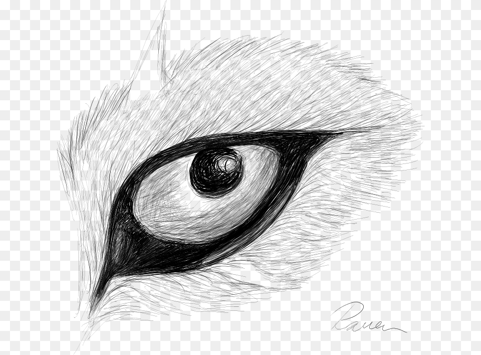 Drawing Eyes Raven Eye Drawing, Gray Free Png Download