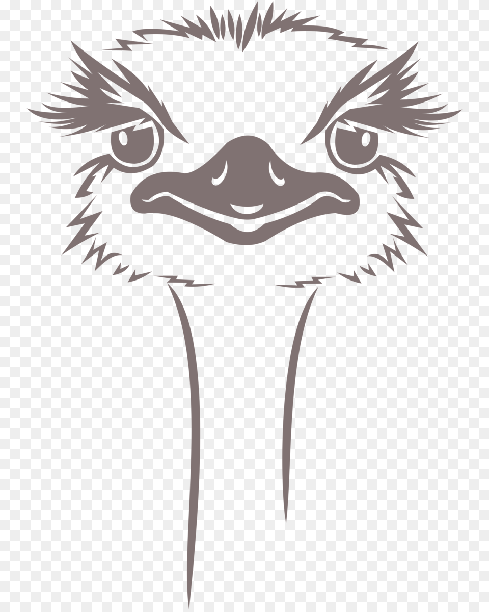 Drawing Feather Ostrich Ostrich Design, Animal, Bird, Person Free Png Download
