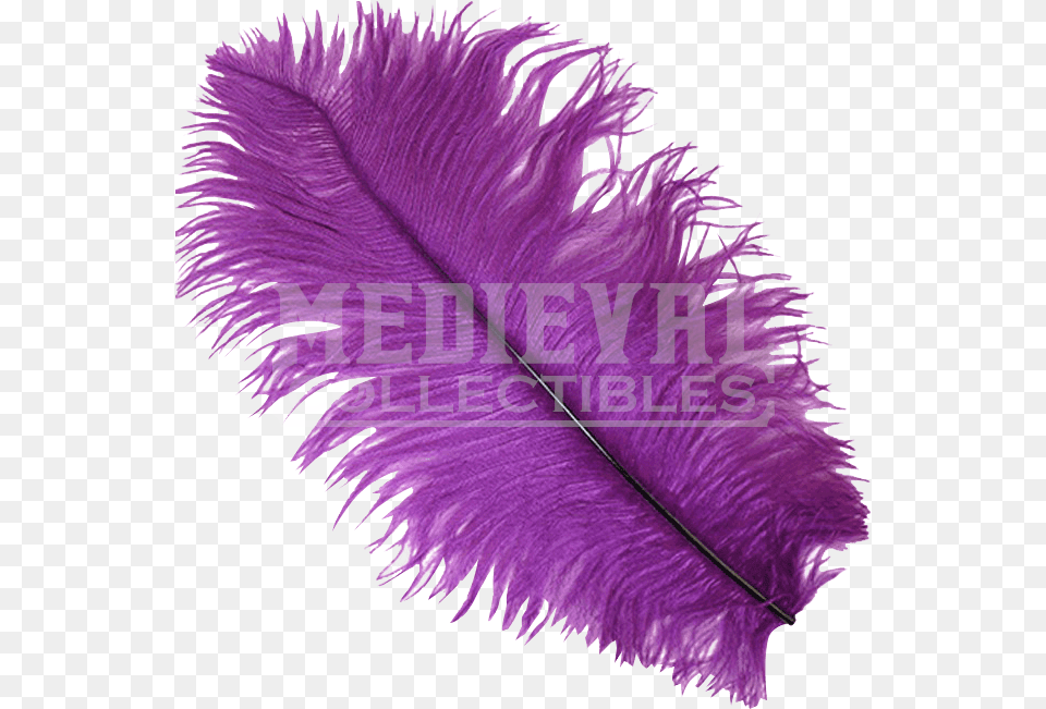Drawing Feather Ostrich Purple Feather, Accessories, Person, Feather Boa Free Png