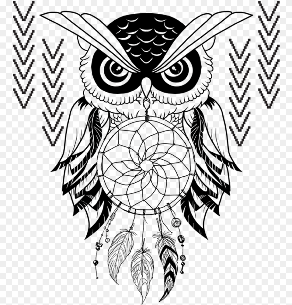 Drawing Feather Owl Transparent Clipart Dream Catchers Black And White, Pattern, Silhouette, Outdoors Png