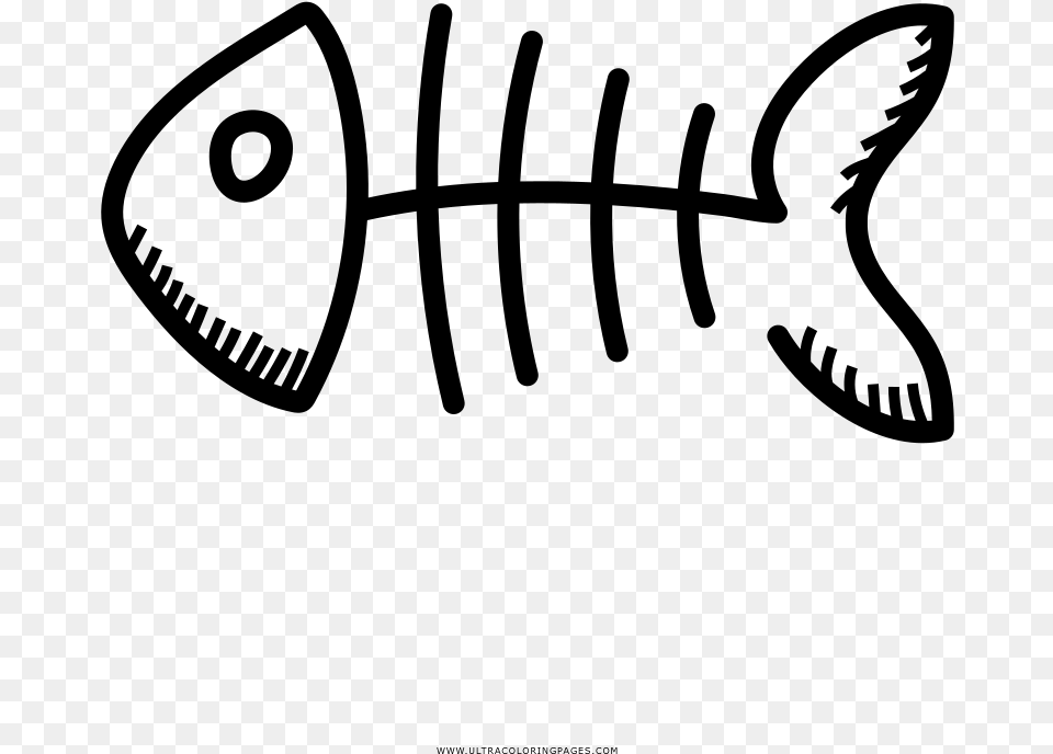 Drawing Fish Bone Coloring Book Skeleton Line Art, Gray Png Image