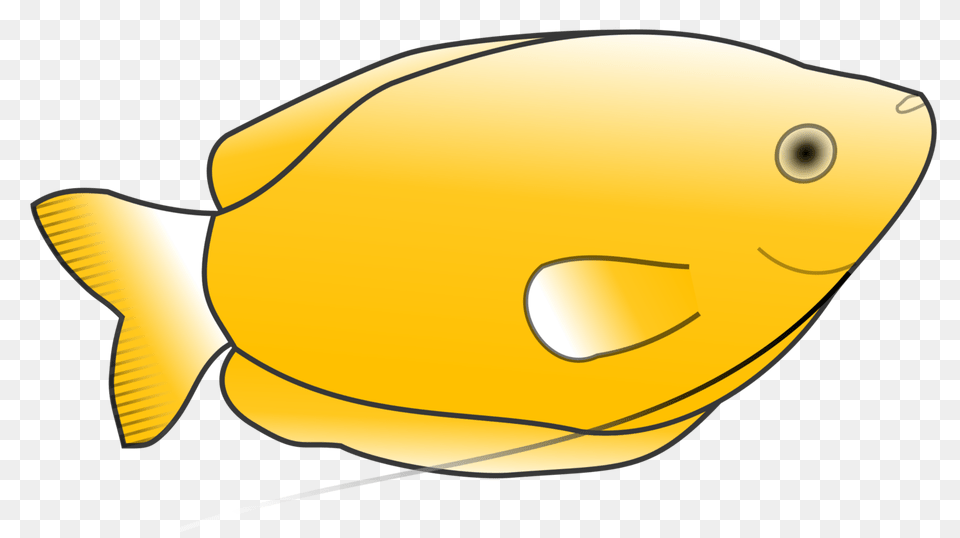 Drawing Fish Download Yellow Computer Icons, Animal, Sea Life, Angelfish, Rock Beauty Png Image