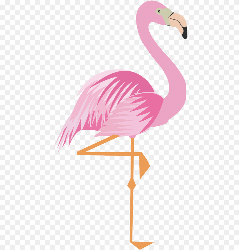 Drawing Flamingos Flamingo Para Imprimir, Animal, Bird, Fish, Sea Life Free Png Download
