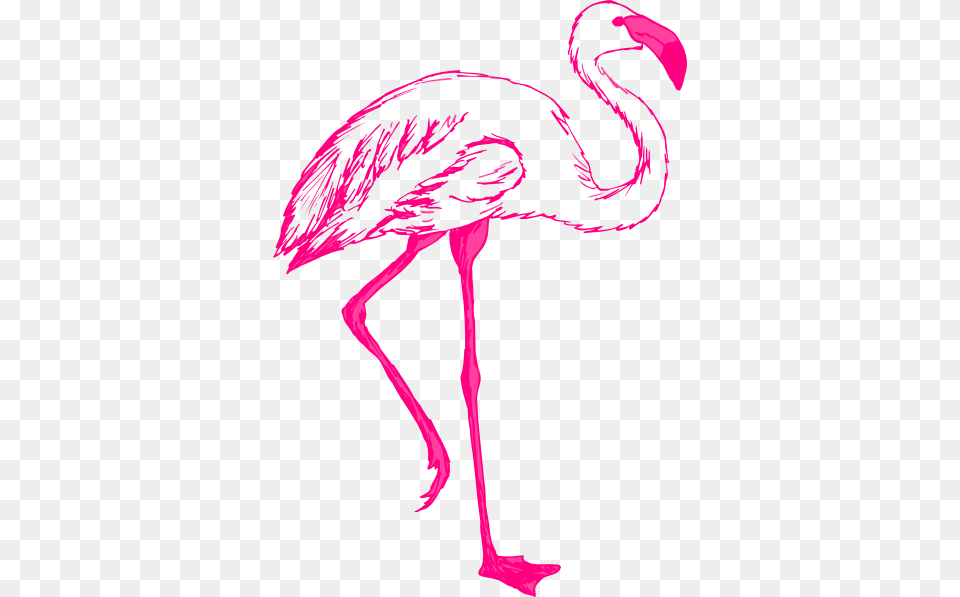 Drawing Flamingos Flamingo Background Clip Art, Animal, Bird, Appliance, Blow Dryer Free Transparent Png
