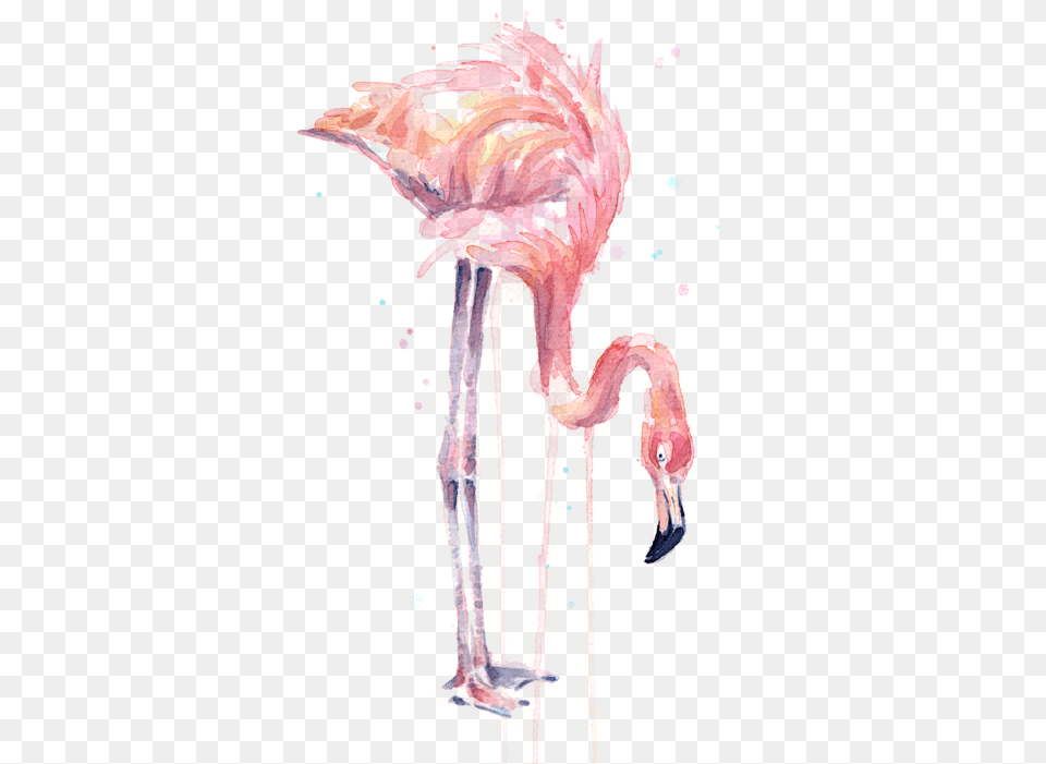 Drawing Flamingos Watercolor Flamingo Painting Watercolor, Animal, Bird Free Transparent Png