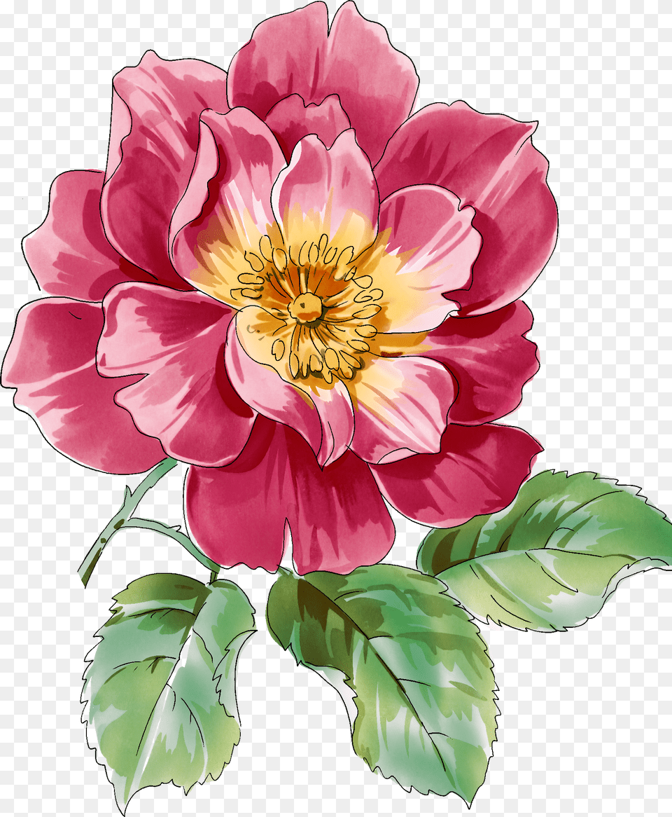 Drawing Flowers In Flowers Flower, Dahlia, Plant, Rose, Petal Free Png Download