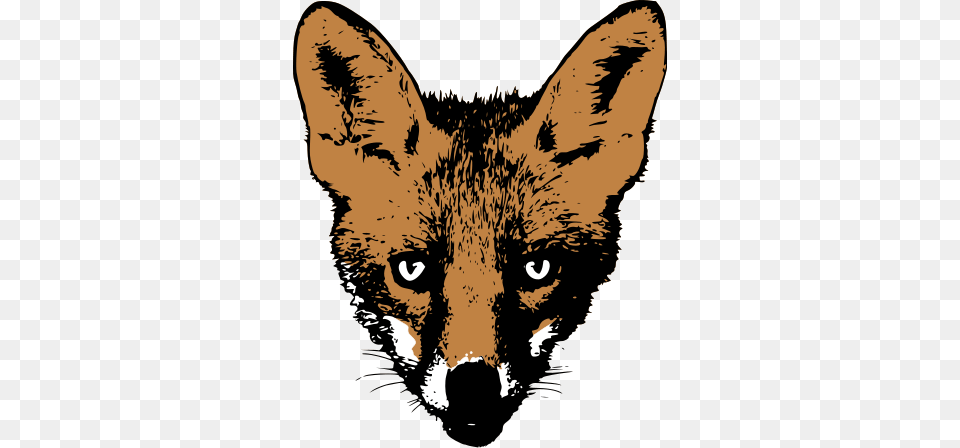 Drawing Fox Face Fox Face Drawing, Animal, Mammal, Wildlife, Person Free Png