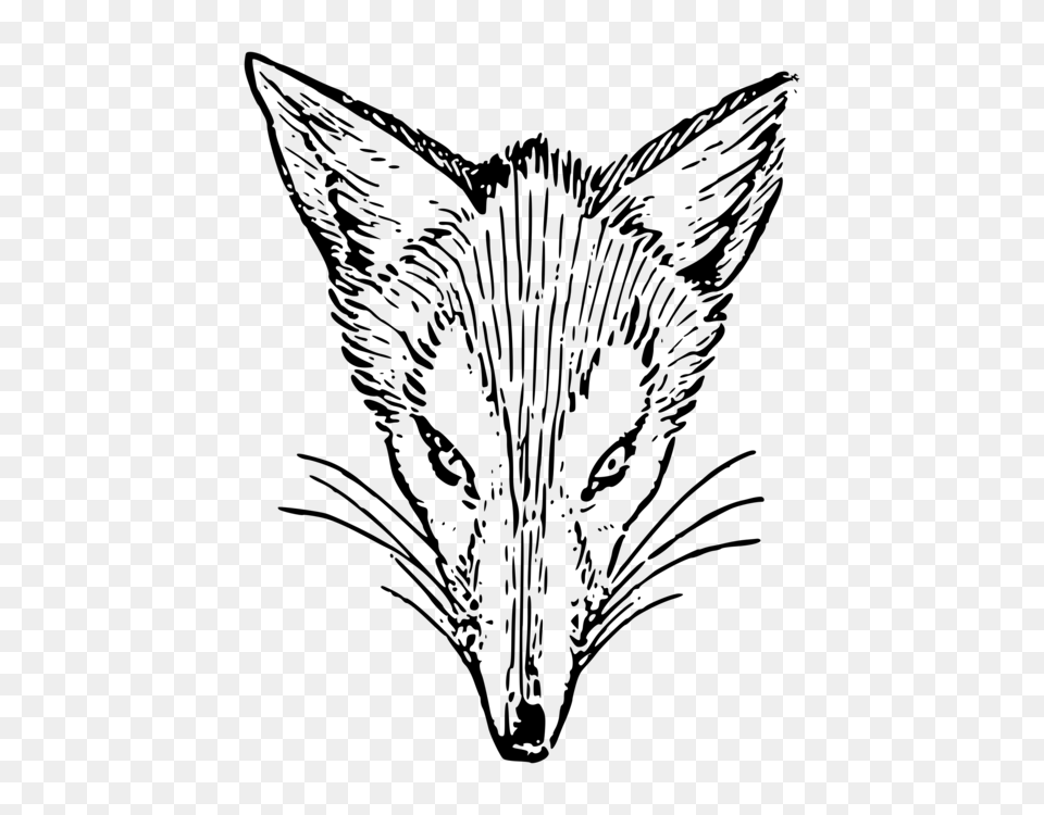 Drawing Fox Symbol Black And White Download, Gray Free Png