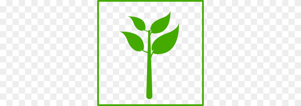 Drawing Green Leaf Line Art Computer Icons, Herbal, Herbs, Plant, Person Png