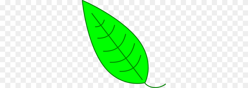 Drawing Green Leaf Line Art Computer Icons, Plant, Herbal, Herbs Png Image