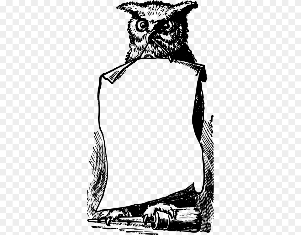 Drawing Harry Potter Owl Pictures, Gray Free Transparent Png