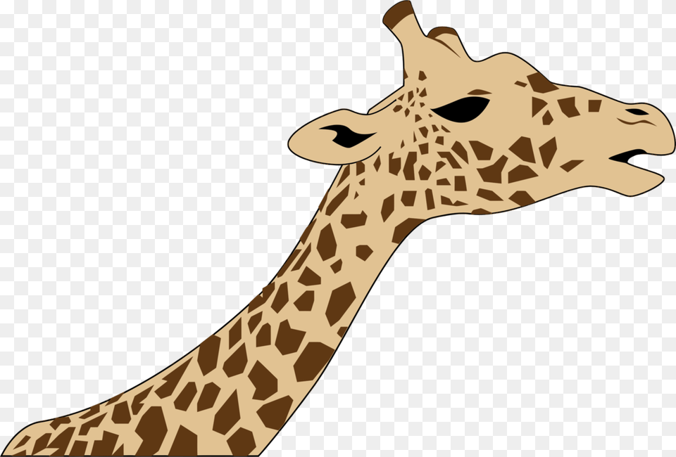 Drawing Head West African Giraffe Animal, Mammal, Wildlife Free Png Download