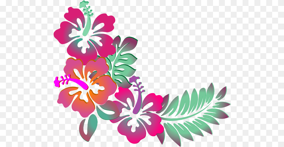 Drawing Hibiscus Transparent U0026 Clipart Download Ywd Clip Art Hibiscus, Pattern, Plant, Graphics, Flower Png Image
