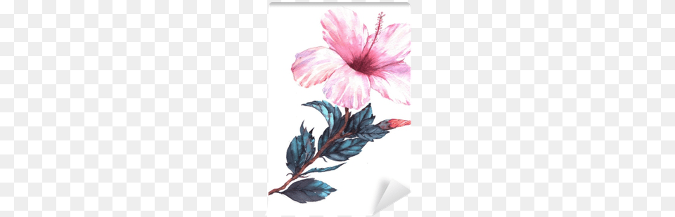 Drawing Hibiscus Watercolor Goodmoodcases Plastic Hard Case Cover For Macbook Pro, Flower, Plant, Baby, Person Free Transparent Png