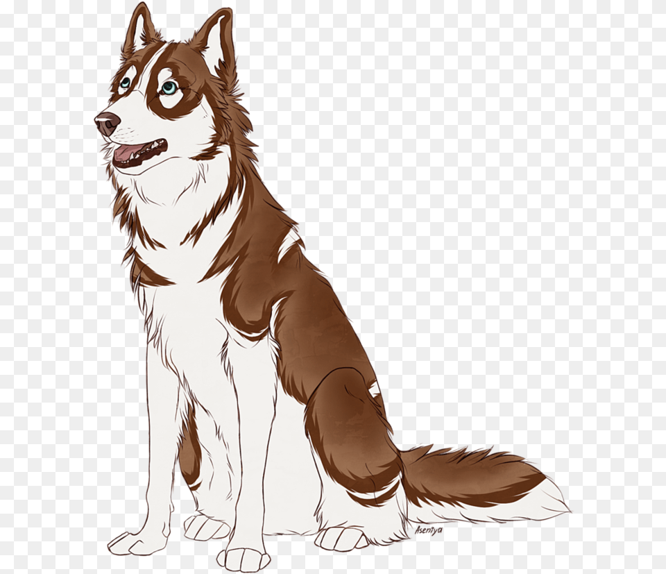 Drawing Husky Watercolor Image Royalty Library Siberian Husky, Animal, Canine, Dog, Mammal Free Png Download