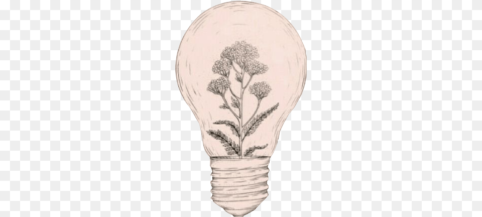 Drawing Idea Aesthetics Art Sketch Plant Light Bulb Art, Lightbulb, Person Png Image
