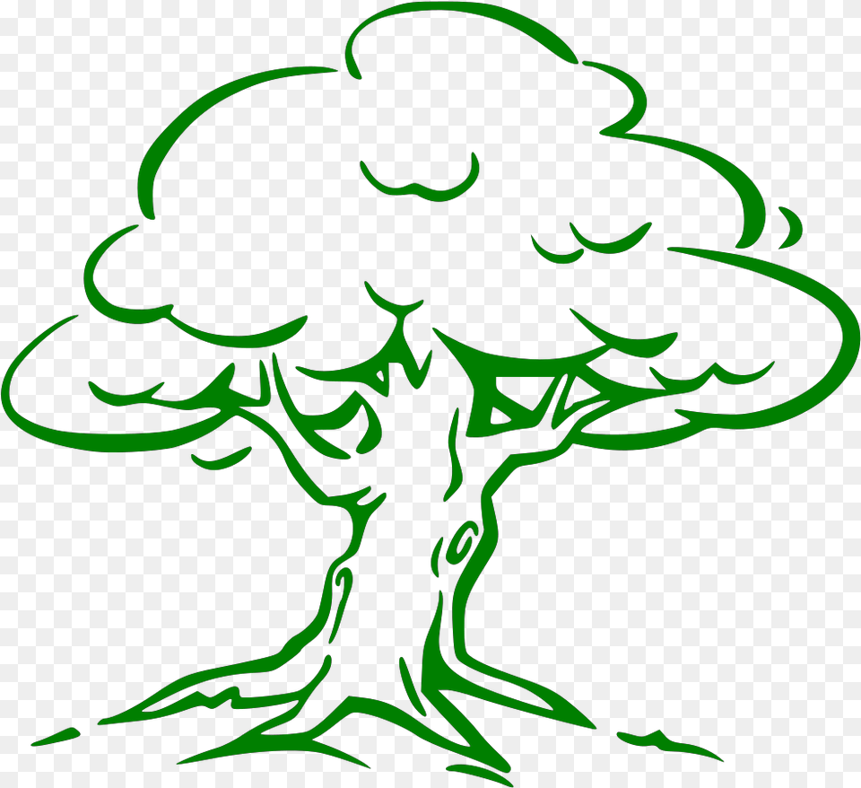 Drawing Images Of Mango Tree, Green, Person Free Transparent Png
