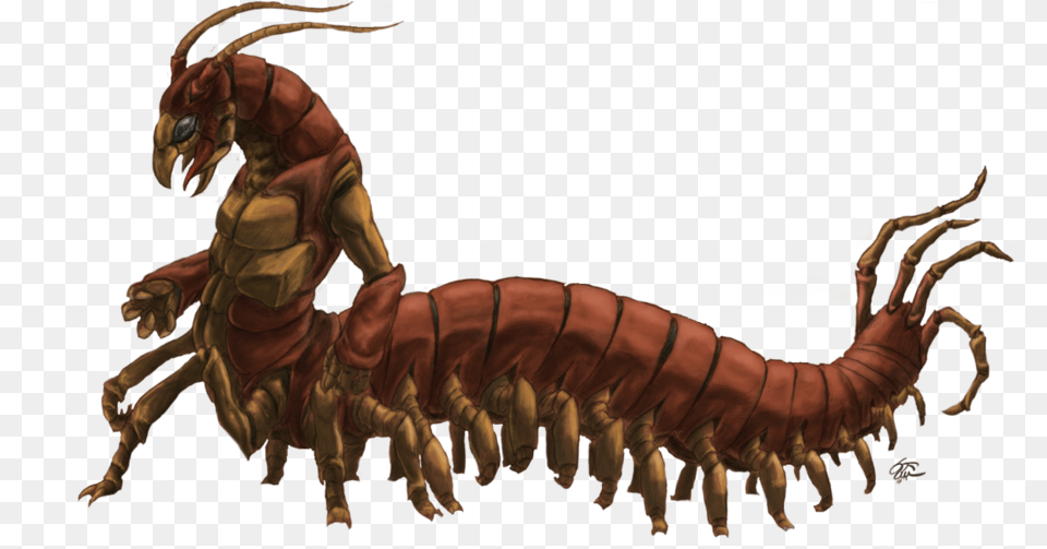 Drawing Insect Centipede Centipede Man, Animal, Dinosaur, Reptile Png