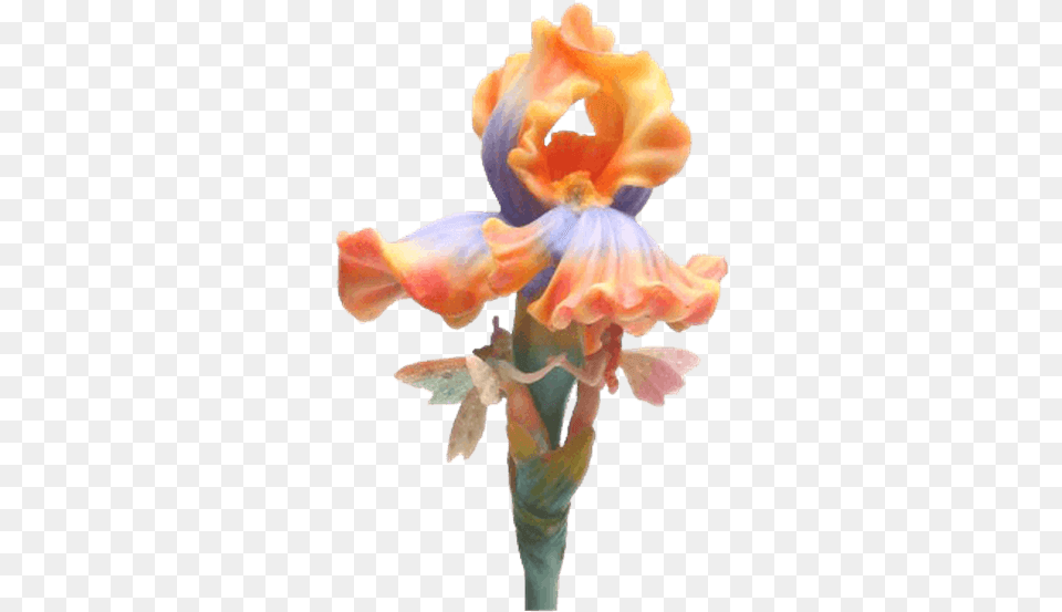 Drawing Irises Shaded Flower Iris Flower Stem, Petal, Plant, Anther, Person Free Png