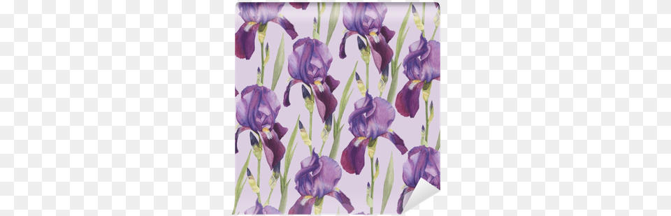 Drawing Irises Watercolor Watercolor Painting, Flower, Iris, Plant, Petal Free Png Download