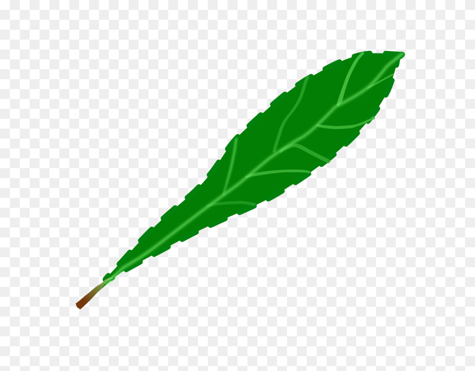 Drawing Leaf Computer Icons Green Watercolor Painting, Plant Png