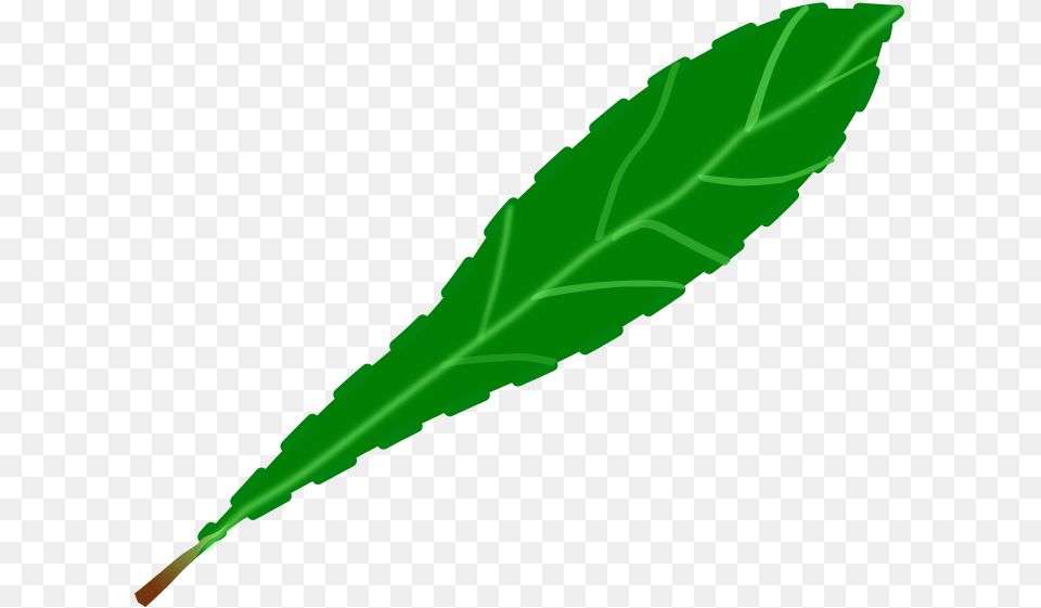 Drawing Leaf Computer Icons Green Watercolor Painting Single Green Leaf Clip Art, Plant Free Transparent Png