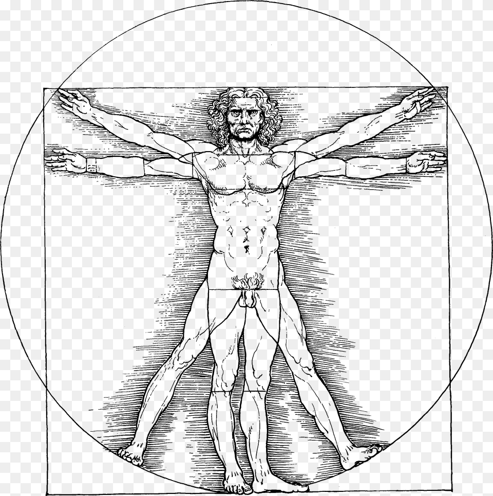 Drawing Leg Leonardo Da Vinci Vitruvian Man, Gray Png Image