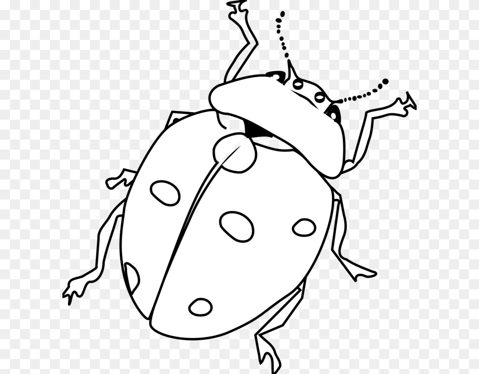 Drawing Line Art Ladybird Beetle Black And White, Baby, Person, Animal, Face Free Png